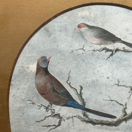 Framed 19th-century Harrison Weir Birds Watercolor