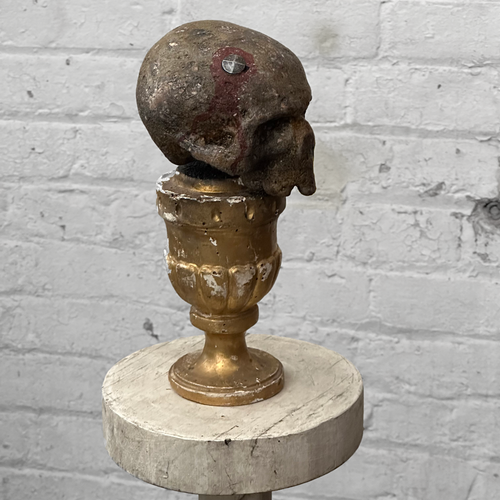 Antique Carved Austrian Skull