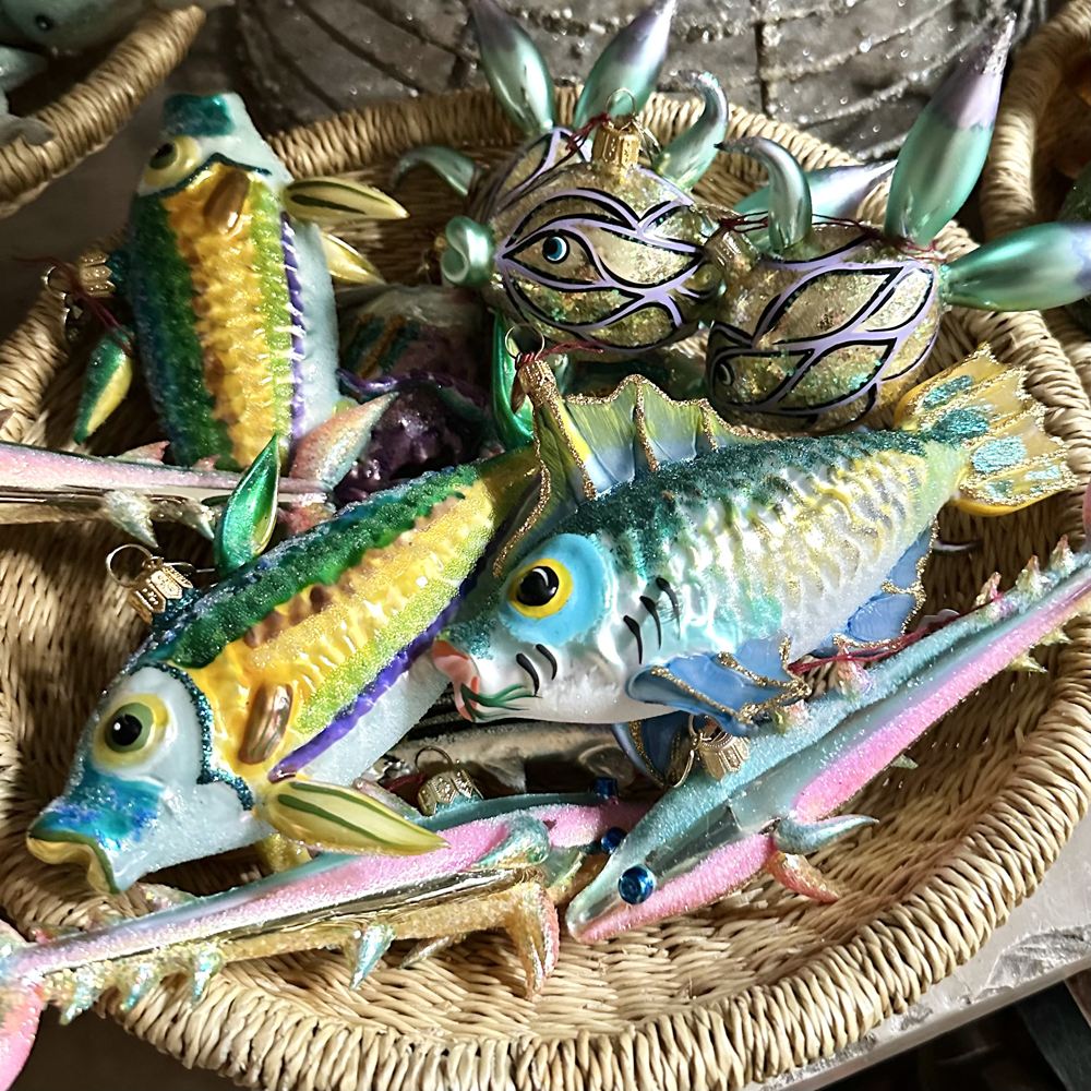 Schools of Fish & More