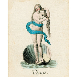 Venus (p 143)