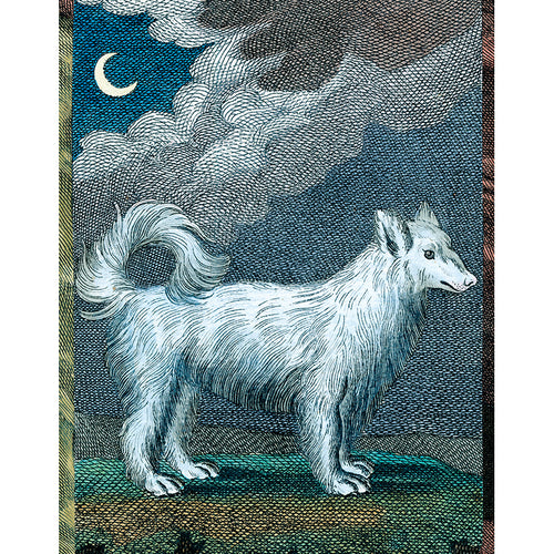 Wolf Dog (p 159)