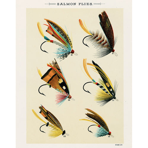 Salmon Flies 18–23 (p 166)