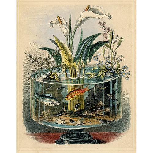 Circular Aquarium (p 173)