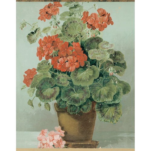 Potted Geranium (p 207)