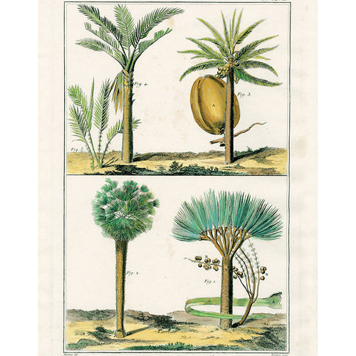 Four Palm Trees (p 210)