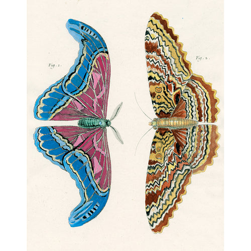 Colorful Butterflies (p 267)