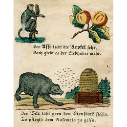 Monkey, Apple, Bear, Beehive (p 276)