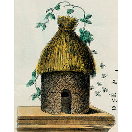 Beehive (p 277)