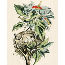 Nest with Hibiscus Flowers (p 44)