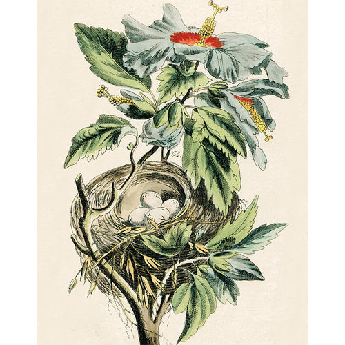 Nest with Hibiscus Flowers (p 44)