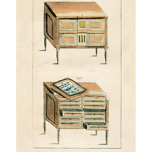 Specimen Cabinet (p 50)