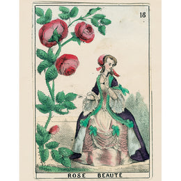 Rose Beauté Lady #18 (p 63)