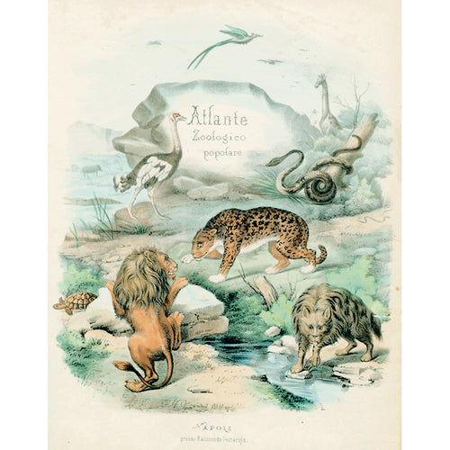 Atlante Zoologico (p 64)