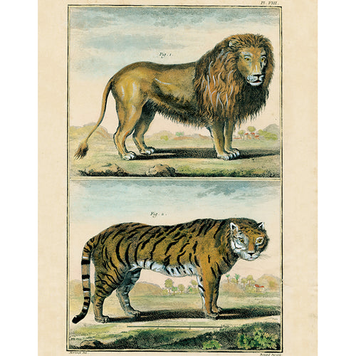 Le Lion, Le Tigre (p 76)