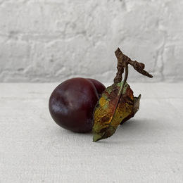 Porcelain Black Plum with Twig & Two Leaves