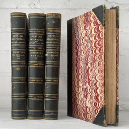 Antique 4-Volume Set: British Seaweeds by Henry Bradbury (1859)