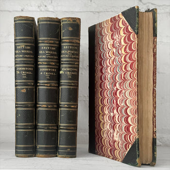 Antique 4-Volume Set: British Seaweeds by Henry Bradbury (1859)