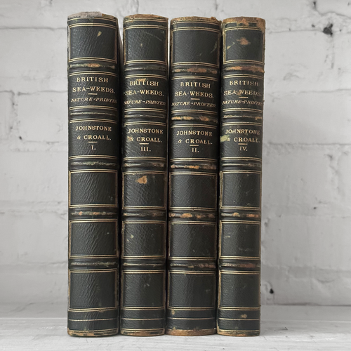 Antique 4-Volume Set: British Seaweeds by Henry Bradbury (1859)