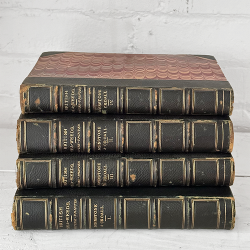 Antique 4-Volume Set: British Seaweeds by Henry Bradbury (1859)