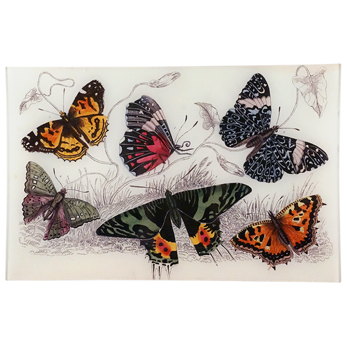 Butterflies XI