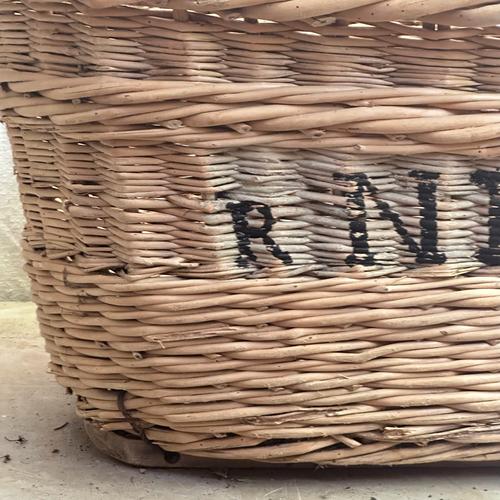 Early 20th Century French Champagne Harvest Baskets