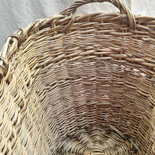 Early 20th Century French Champagne Harvest Baskets