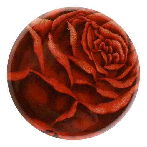 Red Rose Cut-out