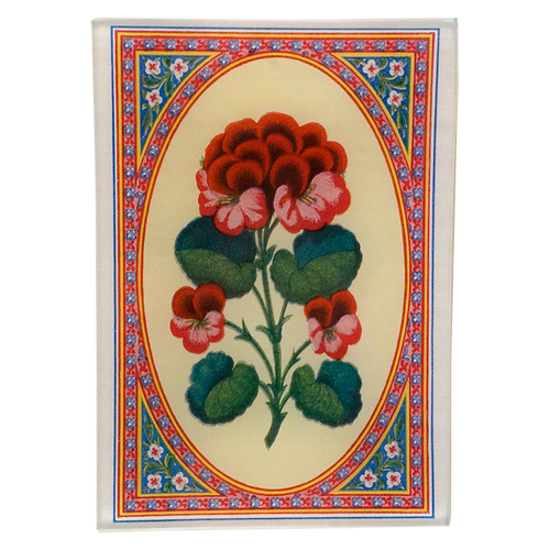 Geranium (Card Back)