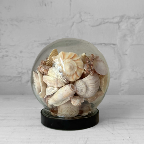 Vintage Seashell Globe Terrarium