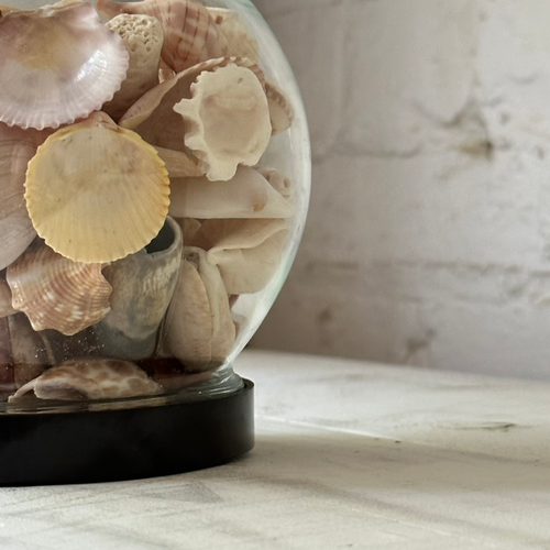 Vintage Seashell Globe Terrarium