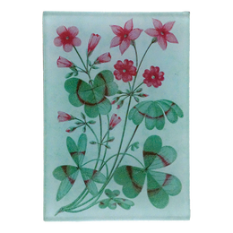 Clover Green (Card Back)