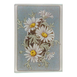 White Daisy (Card Back)