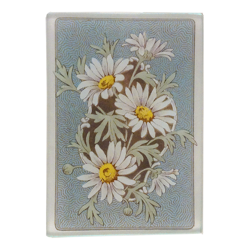 White Daisy (Card Back)