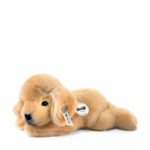 Lumpi Golden Retriever Puppy