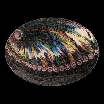 Abalone