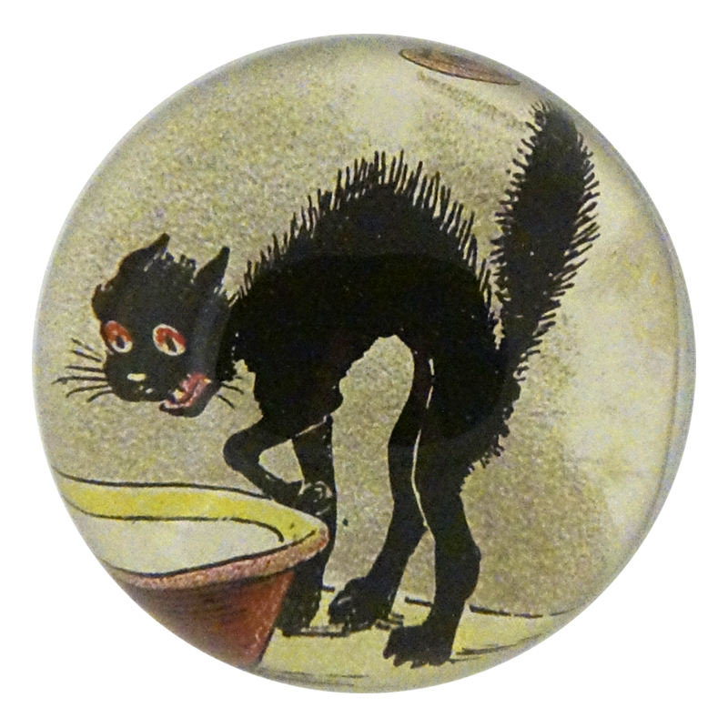 Scaredy Cat – The Runner's Plate