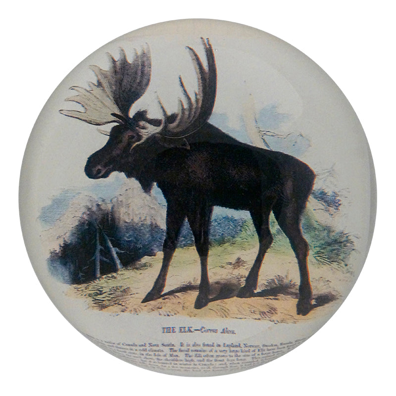 John Derian 2024 Company Glass Tray Deer Design Green