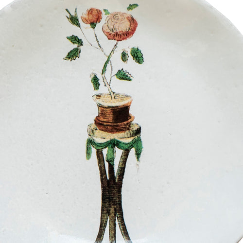 Rosebush Saucer