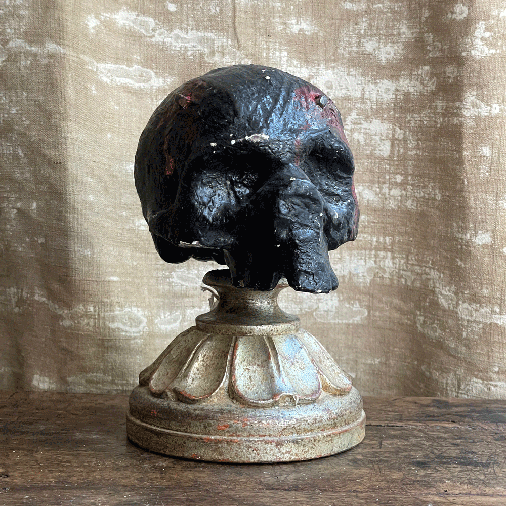 https://www.johnderian.com/cdn/shop/products/John_Derian_Skulls_Antique_IMG_9276.gif?v=1665158846