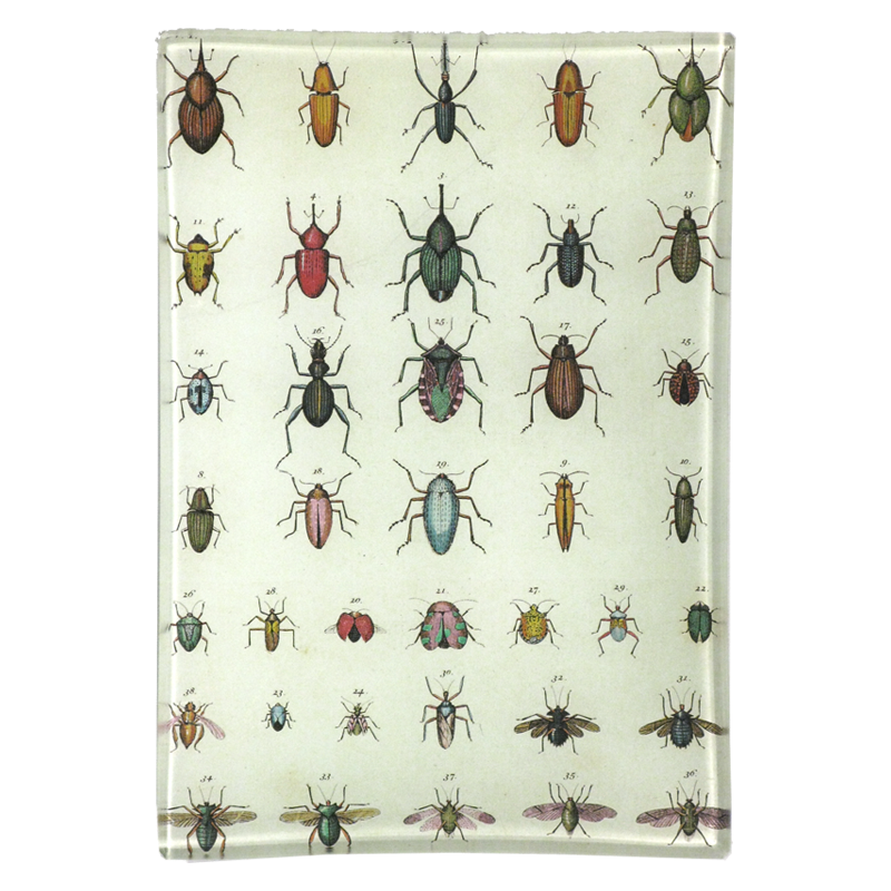 insect id chart