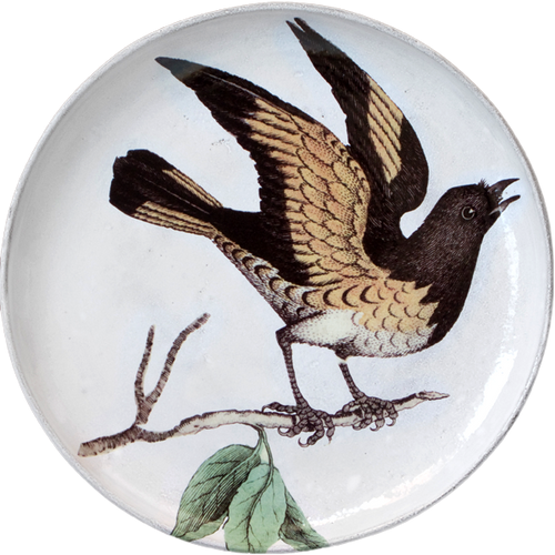 American Red Start (Facing Right) Round Platter