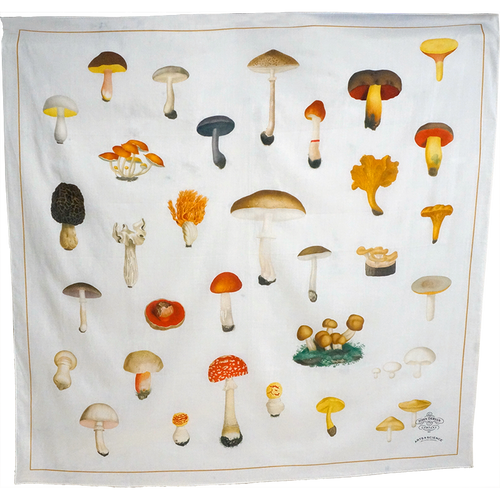 Mushrooms