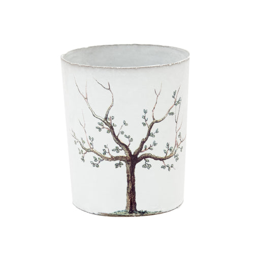 Pear Tree Cup V